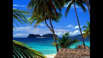 Voyagez en Polynésie !