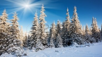 nOtre amie monique nous partage ce joli poème de 
GUY DE MAUPASSANT