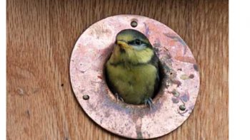 C'EST TOUT UN "POÈME "