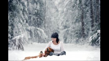 Voici l'hiver venu....le vent se fait plus froid ,,,
derrière la fenêtre les enfant admirent le paysage 
les oiseaux sur leur branche  se protègent du vent....
