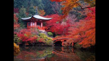 Le Japon fait rêver grâce aux paysages exceptionnels et à la culture tellement discrète. Notre ordissinaute Oderay nous fait découvrir ce pays magnifique.