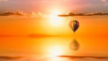 juste pour le plaisir des yeux ....des photos  douceur de miel ...