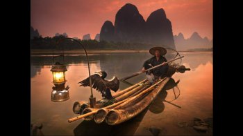 Très haut plateau, 4900-5000 mètres, au nord de l'Himalaya, en Asie.
Aire revendiquée par le gouvernement tibétain, suite à l'exode de 1959...