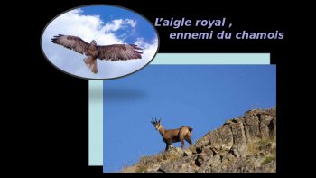 Le parc National des Écrins s'étend entre Gap-Briançon-Grenoble,
vallées de la Romanche, la Guisan, la Durance, le Drac ;