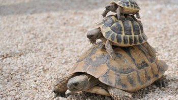 À chaque âge  son  succès ! puis vient le compte à rebours .........C'est la vie ! Autant la prendre  du  bon  côté.......