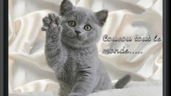 Il ne faut pas grand chose pour déclencher le rire!quand l'imagination,est à l'affût......d'une erreur comique,......de vocabulaire,ou d'image.....