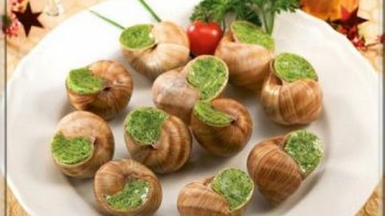 Pourquoi nos escargots ne sont plus élevé en France ? C'est l'un des plats traditionnels qui fait la fierté de la Bourgogne. Les origines précises de la recette des escargots de Bourgogne ne sont pas connues, mais selon la légende, elles pourraient notamment remonter à un déjeuner improvisé entre Talleyrand et le tsar de Russie. L'escargot, on le mange depuis la période préhistorique. L'homme a donc mangé de tout temps des escargots, mais pendant longtemps, ça ne l'a pas vraiment intéressé. On raconte qu'en 1814, Talleyrand (diplomate et homme d'État français du 19e siècle) avait promis de déjeuner avec le tsar Alexandre de Russie. Les deux hommes avaient convenue de se retrouver dans un restaurant en Bourgogne, tenu par le chef Antonin Carême. Mais ils étaient très en retard, et à leur arrivée, Antonin Carême avait tout vendu, son garde-manger était vide. Antonin Carême se serait alors rendu dans son jardin et ramassé quelques gastéropodes. Il a alors crée cette préparation avec du beurre, de l'ail, et du persil. Et le tsar a adoré ça. Il est rentré en Russie et dit : " J'ai mangé des escargots de Bourgogne, c'était fantastique ". La recette s'est ensuite popularisée. Une précision : l'appellation " escargots de Bourgogne " ne désigne pas une variété d'escargots propre à la région. Les escargots cuisinés viennent d'ailleurs essentiellement des pays l'Est, parce qu'il n'y en a pratiquement plus en Bourgogne. Et surtout, ces escargots sauvages sont protégés, donc le ramassage est extrêmement limité. Aujourd'hui, ce que vous allez trouver, se sont effectivement des escargots, soit d'élevage, soit qui viennent essentiellement des pays de l'est. ! ----- Ensuite Mathieu Martinie vous interprète cette magnifique chanson " CA FAIT DANSER LES FILLES " ! Bonne journée à tous !