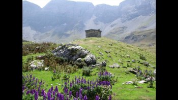Pour lire le poème ,
mettre sur pause (à gauche de l'écran, en bas).
Activer les flèches de droite et de gauche de l'écran pour le défilement
des images à votre rythme. Merci !