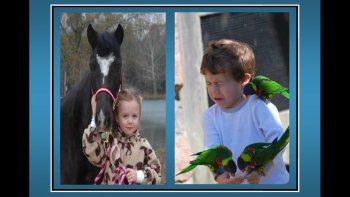 un photographe averti et talentueux d'un petit "CLIC " nous fait prendre une "CLAC", images instantanées , paysages , flore et faune,... juste pour un moment de plaisir " des yeux "...(en grand écran   c'est encore mieux,)merci .