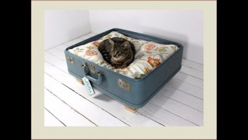 Quelques idées, ajoutées aux vôtres... pour  le jardin, pour la maison.....