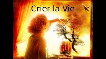 Voici des réflexions sur la vie......