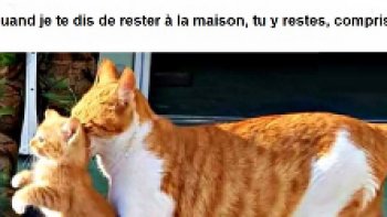 si vous ne voulez pas revivre  le confinement .....
ne perdez pas les bonnes habitudes....
..le virus ,lui n'est pas en vacances,,,
il fait juste une sieste ,,,à cause de la canicule ...
un clin d'oeil de doris et Charlotte