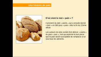 Une histoire de pain, variétés de fabrication, origine et consommation.