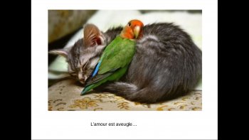 Soyons attentifs aux expressions de nos amis, qui en disent long !