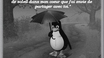 Chaque jour apporte  son lot, de matière à rire, ou a s'attrister.......