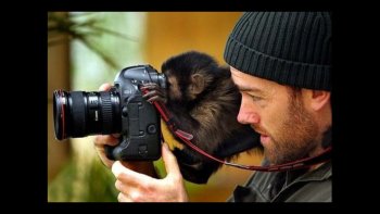 UN MÉLI MÉLO D'IMAGES PRISES ÇA ET LA.
BONNE JOURNÉE A TOUS...