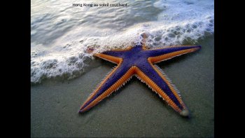   UNE PETITE BALADE SUR NOTRE BELLE PLANÈTE  