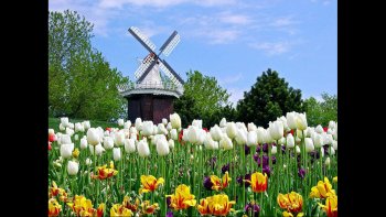 La Hollande, du nord et du sud, forme la région la plus connue des Pays-Bas, 
avec le parc floral de Keukenhof ; Amsterdam, la capitale ; La Haye, tribunal pénal international.