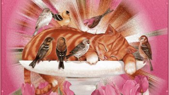 "la différence."..parfois une richesse.....Parfois  porte ouverte  aux  heurts, incompréhensions, Plus difficile à vivre pour les humains  que  pour  les  fleurs.....
 Cependant il arrive  que dans les massifs...certaines fleurs, sont à isoler, nuisent à la croissance  d'autres   fleurs...