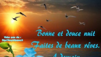 L'esprit de Noël.....Ou,la célébration de la vie ;dans le,calendrier chrétien au 4èmè siécle  les  chrétiens célébraient la naissance de jésus de Nazareth.C'était avant une fête païenne, célébrant le soleil invincible...En ce solstice d'hiver,,le jour, l'emportait sur la nuit.....servaient à célébrer la renaissance de la lumière...par leurs différentes traditions les hommes expriment, l'espoir de voir revenir les beaux jours.....Aujourd'hui  cette espérance fait partie de l'esprit de Noël.....(mise à mal, par les évènements)JOYEUX NOËL À VOUS TOUS, CHERS ORDISSINAUTES. Oderay
JOYEUX NOËL À TOUS,Cher(és ordissinautes