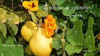 «Les sanglots longs de  l'Automne»