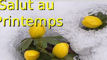 MAI 2020 : la nature s'est parée de mille couleurs... Sans doute a-t-elle enfin respiré !
quelques images  pour s'aérer un peu... en souhaitant pouvoir aller se promener bientôt... et se dire que nous devons tout faire pour que cette nature  demeure toujours aussi belle... en protégeant les hôtes de ses champs et ses bois... ainsi que l'eau des rivières nécessaire à toute survie....