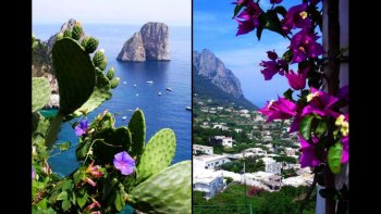 et si nous sortions du confinement... pour se laisser aller à rêver.
CAPRI, ce n'est pas fini...