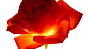 Elle a égayé nos soirées télévisées...émus au cinéma,,enchantés dans les comédies musicales
je vous propose  2 vidéos ..la 1ere  où elle  exprime sa vision de "l'après "" avec beaucoup  de lucidité...
la 2eme ,,Un  numéro avec les" frères Taloche"   ( un trio  belge  qui décoiffe...)!!

Au revoir Madame ,,,,nous attendrons votre retour "au piano " 