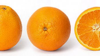 un dessert très léger, avec un entremet ou une glace