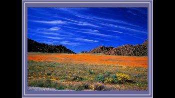 Des phénomènes étranges et naturels ont donné le jour à d'admirables sites, 
aux quatre coins du monde.