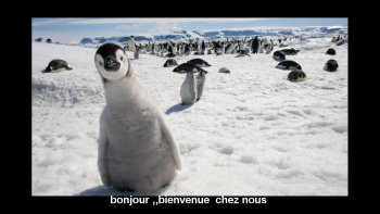 En partage avec JB 44.....dans un monde féerique et pourtant .....en danger...