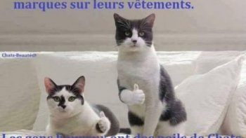 un vieux couple, et des vieilles amies  échangent ........C'est pas triste!!