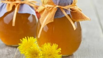 La petite fleur des prairies a une consonance aussi étrange que son histoire. La connaissez-vous ? Il est la petite fleur dans la prairie. Celui qui dore de têtes jaunes nos prés verts et que «les petits de l'hirondelle mangent» chez un autre Prévert. Le pissenlit. Voilà le bonhomme rayonnant de nos contrées qui fait également l'éclat des fioles de phytothérapie dans non pharmacies. La plante herbacée est en effet très utile pour ses propriétés diurétiques. Une vertu qui n'est pas d'ailleurs sans avoir influencé son nom... Car, loin d'avoir seulement eu ce petit nom peu flatteur, le pissenlit germa aussi sous l'appellation de «dent-de-lion» en raison de ses feuilles recourbées. A noter que la fleur s'emploie dans l'expression «manger les pissenlits par la racine» dans le sens de «mort et enterré». Une locution dont l'origine n'est pas très claire. Léminent lexicologue Alain Rey rappelle toutefois que le terme «pisse» contenue dans «pissenlit» a autrefois eu un lien intime avec la mort dans la formule «pisser sur la fosse de quelqu'un». Un jet suffisant pour en faire la source première de la locution ? !-------- Suivez la musique verte : le pissenlit - Lokicello. ! Il s'agit tout simplement de fabriquez un petit hautbois ou basson avec une tige de pissenlit. !