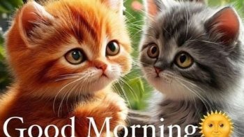 je vous propose une vidéo  sympa ,,  prise à "incroyable talent USA ,, 
CHAT VEUT  ou  CHAT VEUT PAS 