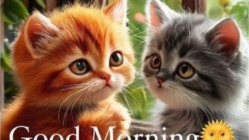 Parfois la logique est implacable !! Malheureusement, cet étudiant a obtenu la note de 0/20 à cet  examen... Moi, je lui aurais mis 20/20 POUR L'ORIGINALITÉ !!! doris