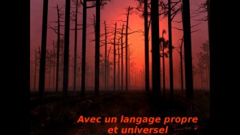Nos yeux habitués, ne savent plus voir, les merveilles
qui nous entourent, dans lesquelles nous baignons chaque jour.
lueurs couleurs parfums, ect; arrêtons-nous un instant,
sur les images qui les reflètent, retransmises par la chaîne
virtuelle d'amitiés.......