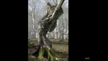 les arbres malades,en fin de vie, continuent à vivre, grâce à des artistes sculpteurs......