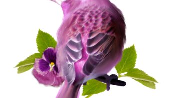 Quand volent les dictons..d'âge en âge....Quoi de mieux que des oiseaux...pour les faire voyager ?partez à leurs découvertes....