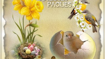 A Pâques il est coutume d'offrir des œufs décorés(tradition) en chocolat (commercial)apportés selon l(a légende par les cloches revenues de pèlerinage)   ,on cache  les œufs dans les jardins; En Alsace c'est un lièvre qui  les cache;En Allemagne un lapin blanc;;en Suisse un coucou;en Thuringe une cigogne;.;
