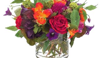 Pour rire,ou pas...selon votre humeur, ou votre sens de l'humour.....