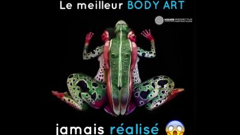Le body art est une technique qui allie les dessins sur des corps humains.
lorsque ces corps se mettent en mouvement ....c'est magique !!