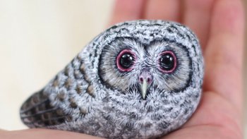il faut beaucoup de tendresse pour ainsi donner vie à des petits cailloux,
une artiste japonaise nous ouvre son univers : LE STONE ART.
