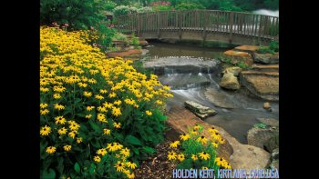 Jadins du Canada,de Londres, d'Australie.....et d'ailleurs........