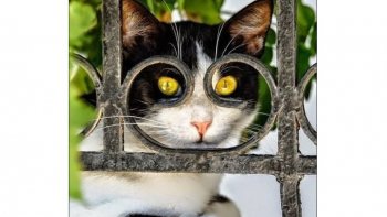 Quelques photos prises  juste au bon moment .....