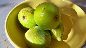 Un grand Homage à mon Amis et ancien collegue de travaille.  le Bearnais Francis Miot. qui à fait connaître au Monde entier ses qualitée de Maïtre confiturier avec le lancement de la confiture  " Les couille du Pape ".