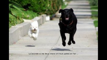 sur une proposition de Victoria quelques images prises "sur le vif ".
bravo aux photographes