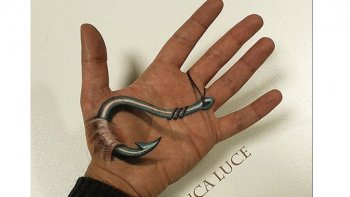 un tatoueur de talent  avec un univers très particulier  voire  étrange...

ça fait réfléchir avec quelques  questionnements ?