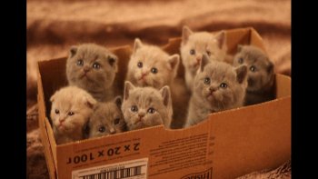 QUELQUES PHOTOS  JUSTE  POUR LE "FUN"