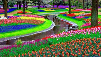  Avez-vous déjà voulu obtenir une couleur introuvable dans un magasin ?
Allez à l'extérieur dans la nature, et vous trouverez. Bonne promenade....