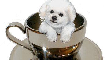 Il faut bien faire le ménage de l'ordinateur de temps en temps! méli-mélo d'images.....